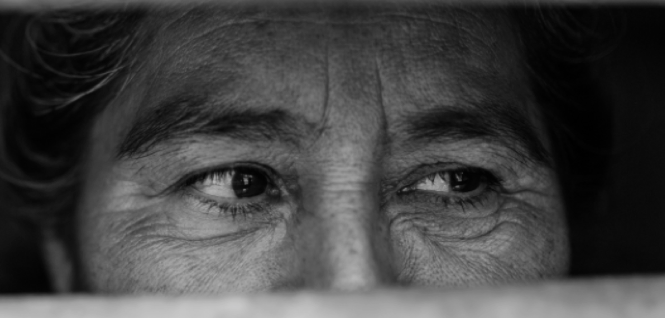 Lee más sobre el artículo En el mundo de Sofía:  El abuso del derecho penal para abordar problemas sociales.