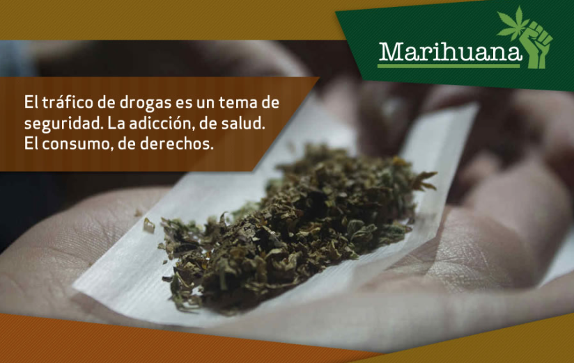 Lee más sobre el artículo Por una regulación y una política de drogas más humana