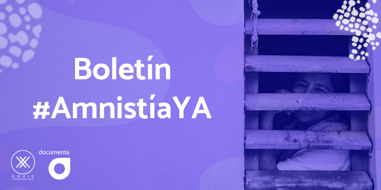 amnistiaboletin