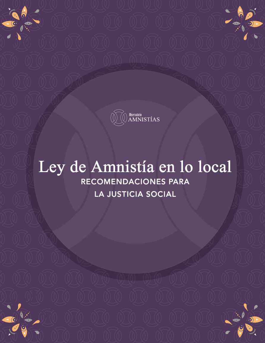 Lee más sobre el artículo Ley de Amnistía en lo local