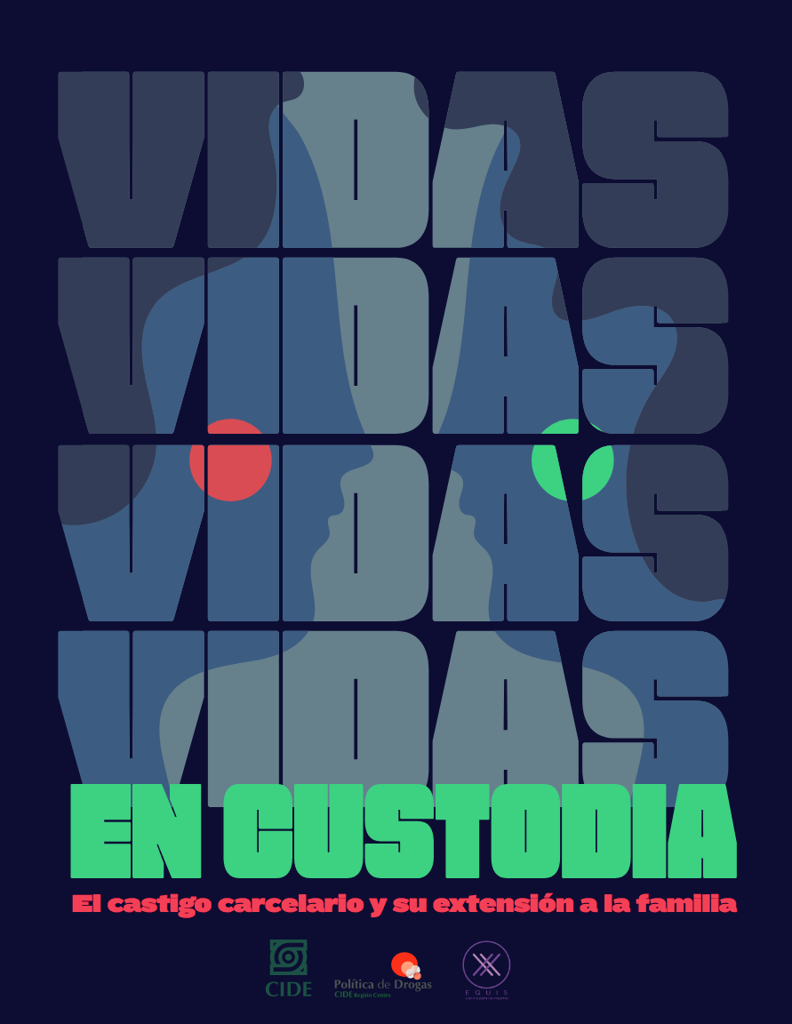Lee más sobre el artículo Vidas en Custodia: El castigo carcelario y su extensión a la familia